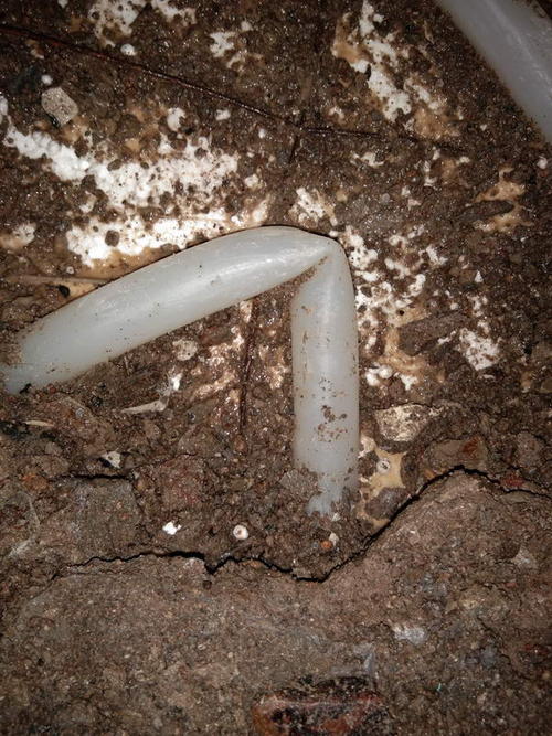 团风堵点精准查找